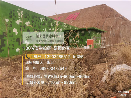 鹤岗星空迷彩墙施工队